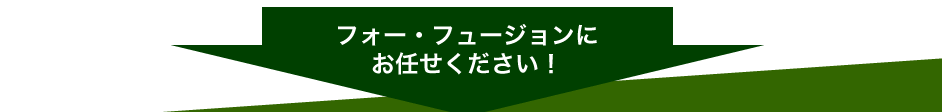 フォー・フュージョンにお任せください！